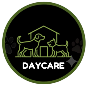 Sassy Paws Day Care