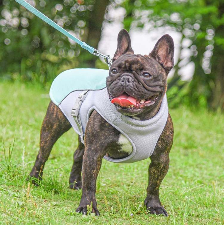 Cool Harness Coat for Dogs (Pink)