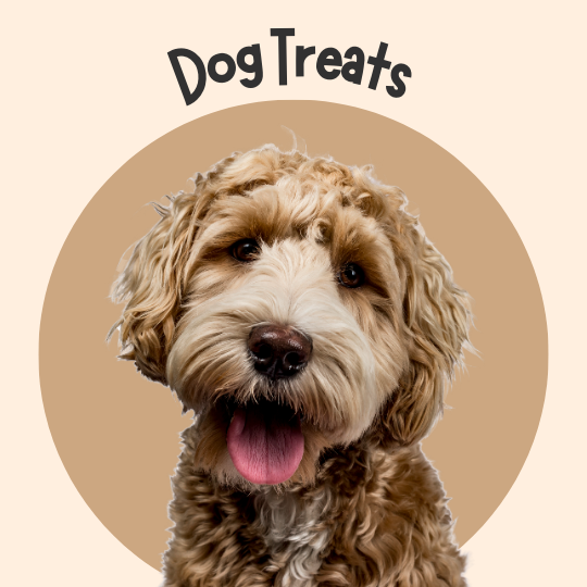 Dog Treat Home Made