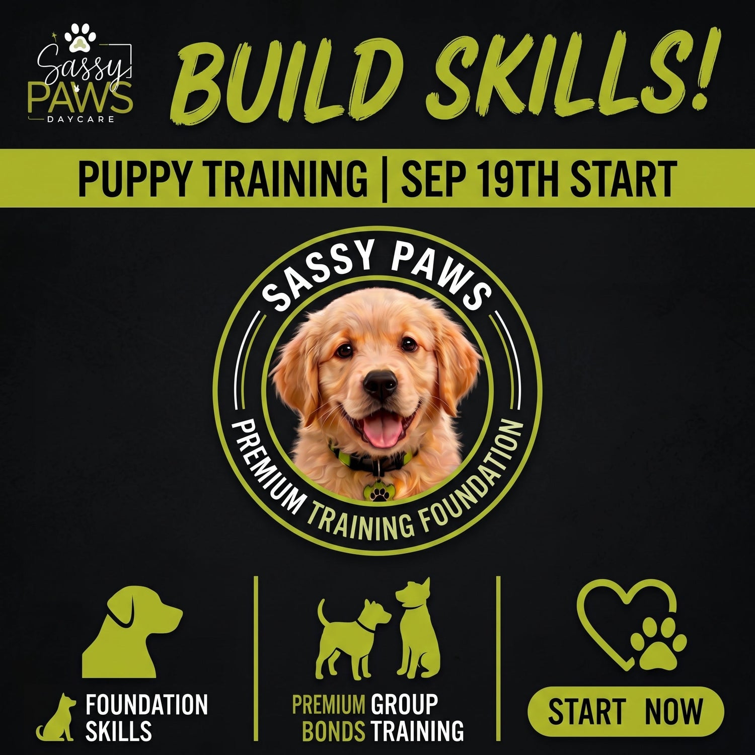 Puppy & Dog Group Training Sassy Paws Daycare Yatala QLD