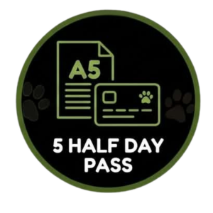 VIP - Half day - 5 days Pass