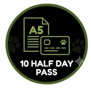 VIP - Half day - 10 day Pass