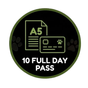 VIP - Full day - 10 day Pass