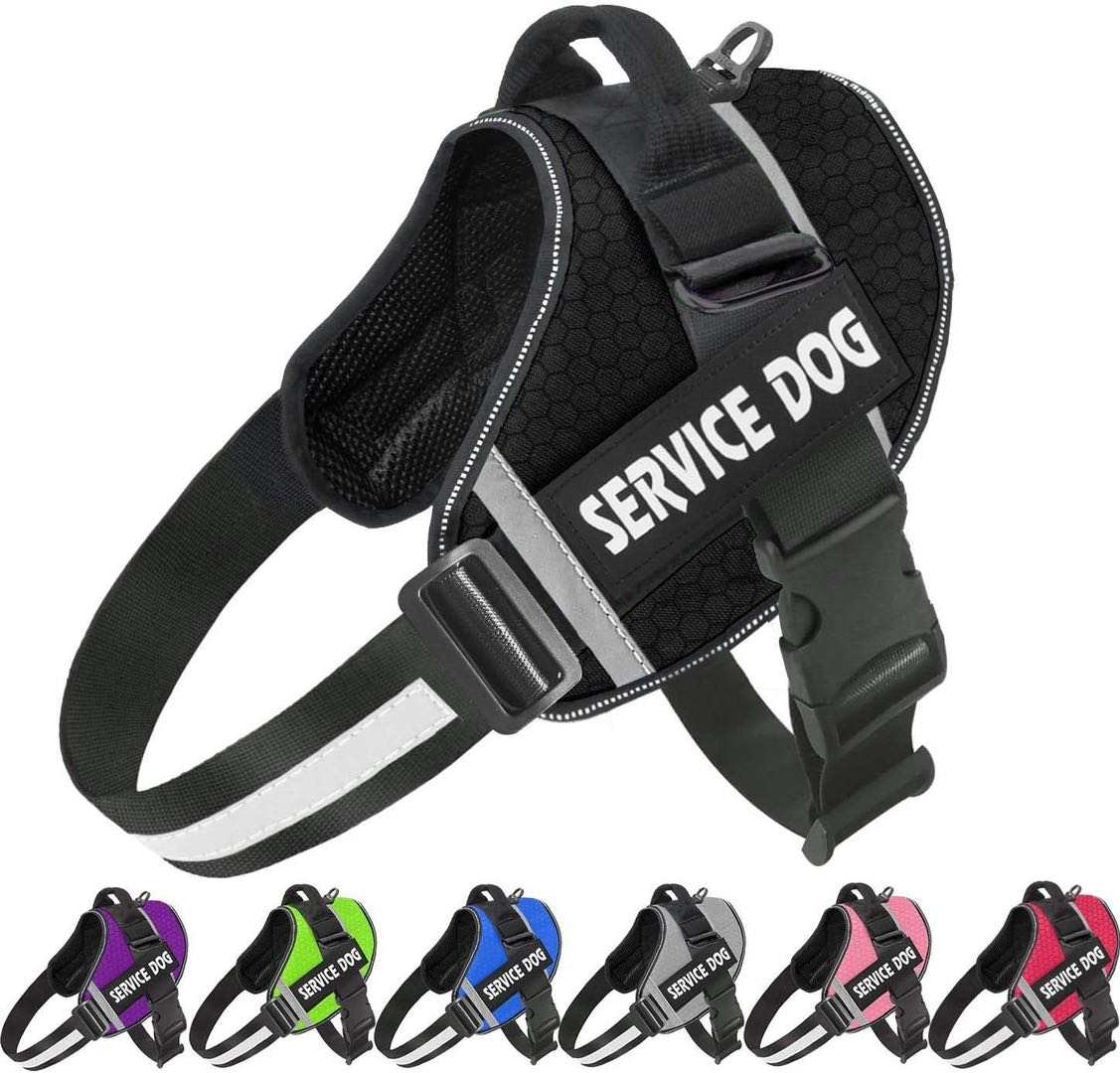 Dog Harness Strong Nylon Reflective Easy clip on Custom Name