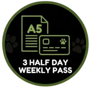 VIP - Weely Half day - 3 day Pass