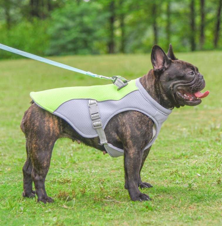 Cool Harness for Dogs Coat pastel blue